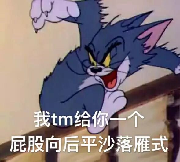 我tm给你一个屁股向后平沙落雁式