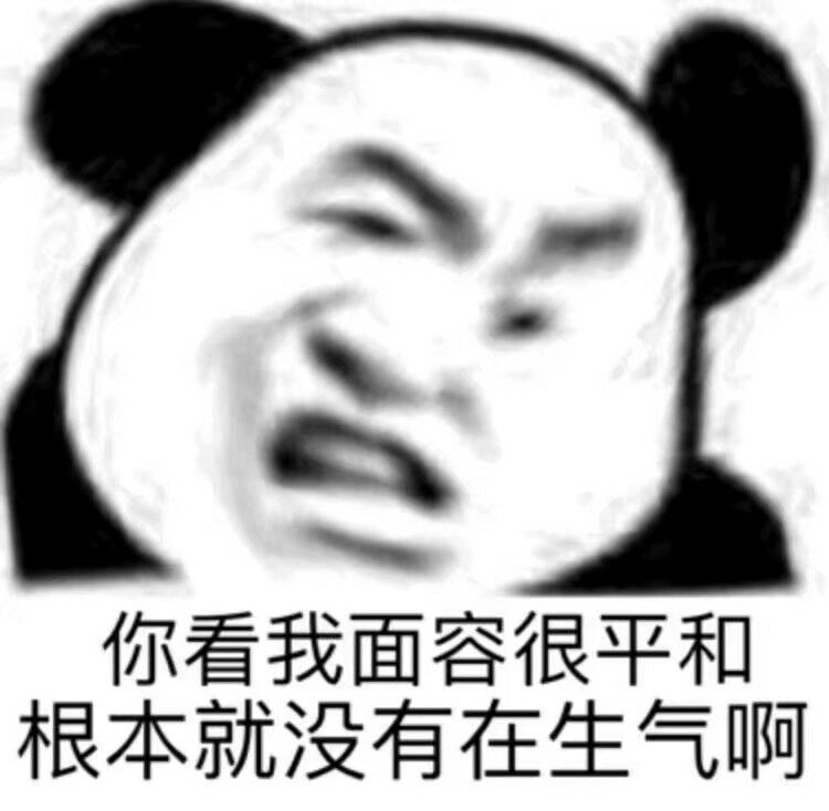 熊猫人生气表情包图片