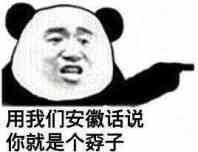 用我們安徽話說你就是一個孬子 - 鬥圖表情包 - 金館長表情庫 - 真正