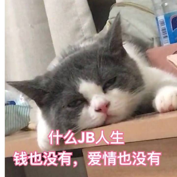 什麼jb人生錢也沒有,愛情也沒有 - 鬥圖表情包 - 金館長表情庫 - 真正