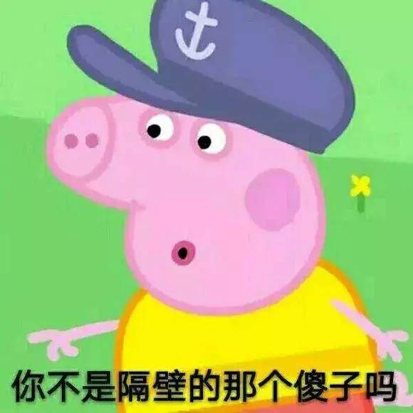 你不是隔壁的那个傻子吗