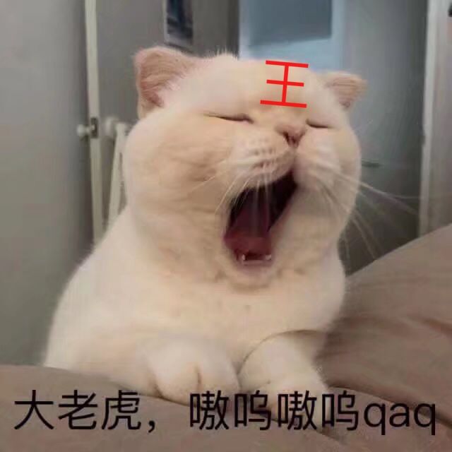 大老虎,嗷鸣嗷呜qa 